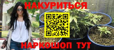 амф Кимры