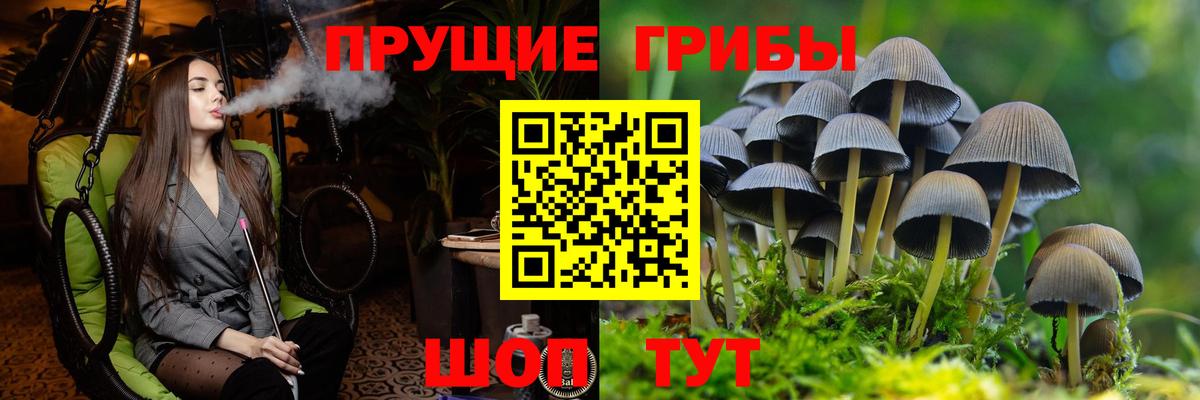 Псилоцибиновые грибы ЛСД  Псилоцибиновые грибы GOLDEN TEACHER  Вход с VPN  Котельники 